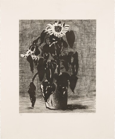 View full screen - View 1 of Lot 45. Sunflower I.