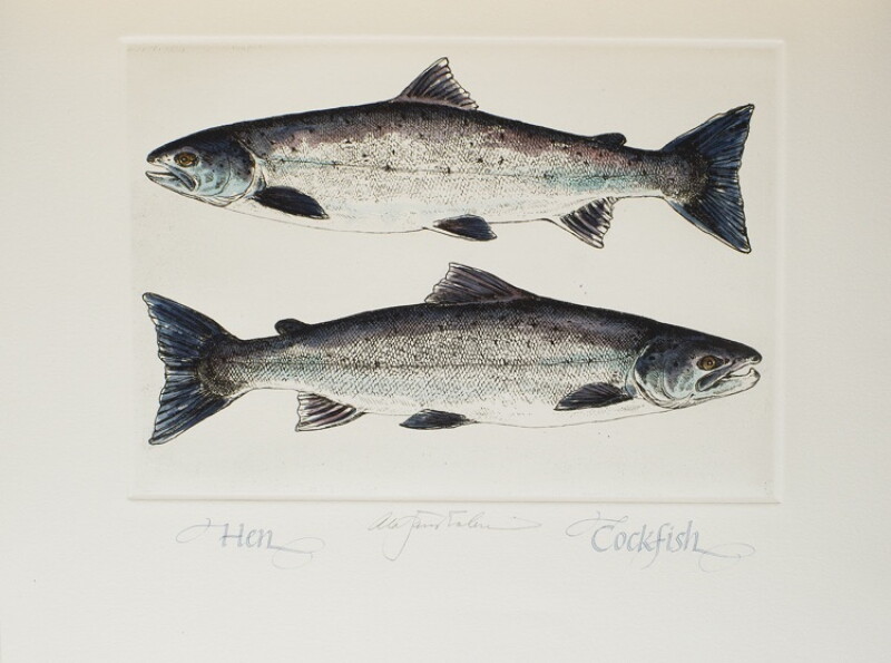 Cover image 0