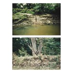 ANA MENDIETA | SELECTED IMAGES (FROM SILUETA SERIES, IOWA)