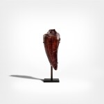 Tyrannosaurus Rex Tooth