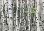 HERBERT BAYER | 'IN SEARCH OF TIMES PAST'