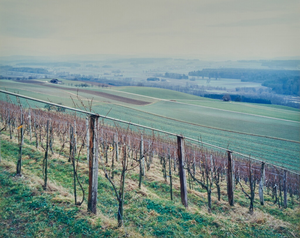 View full screen - View 1 of Lot 937. Landscape No. 20, Weinstöcke Im Thur-Tal, Wintherhur.
