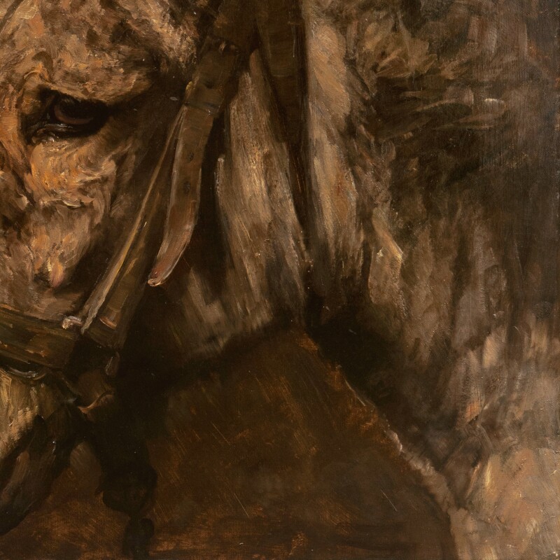 Cover image 0