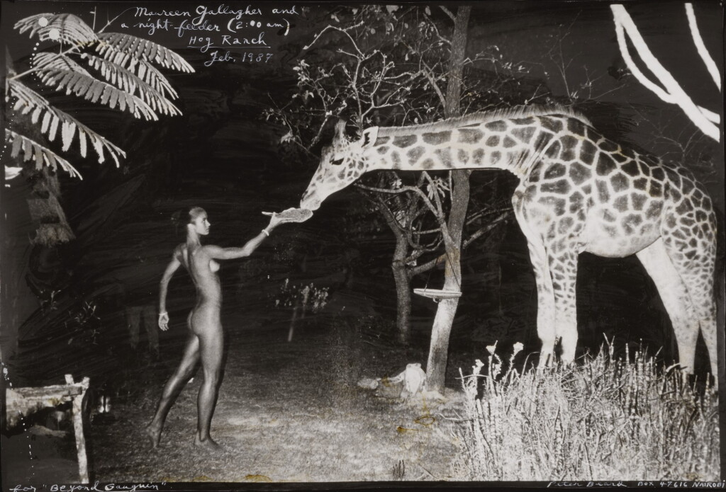 View full screen - View 1 of Lot 66. PETER BEARD | 'MAUREEN GALLAGHER AND NIGHT-FEEDER (2:00 A.M.) HOG RANCH, FEB. 1987’.