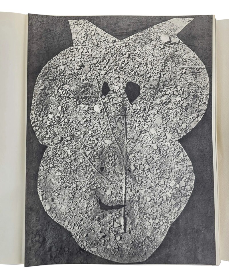 Cover image 0