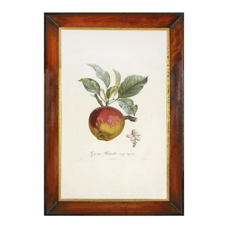 Cover image 0