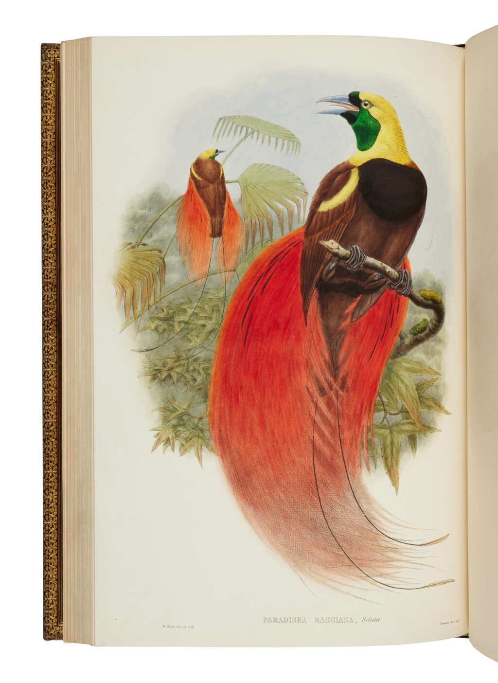 View full screen - View 1 of Lot 70. Sharpe, Richard Bowdler | From the broken stones.