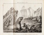 PERON. Mémoires du capitaine Péron, sur ses voyages... 1824. 2 vol. 1/2 chagrin brun