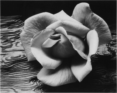 View full screen - View 1 of Lot 982. ‘Rose and Driftwood,’ San Francisco, California.