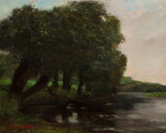 Saulaie, bords de la Charente