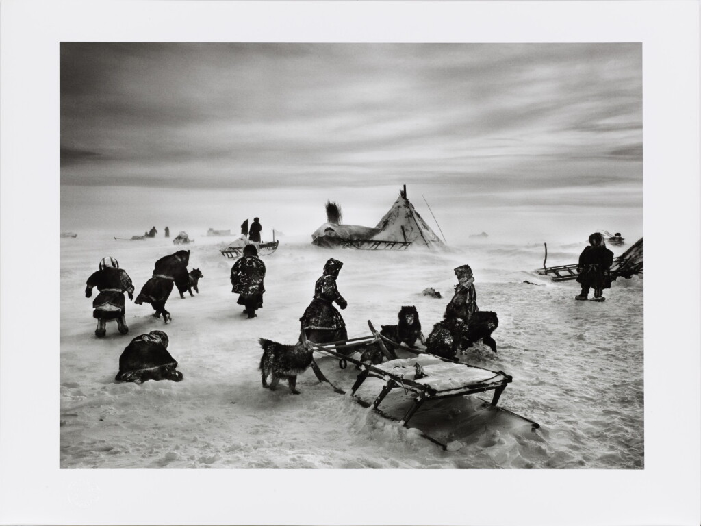 View full screen - View 1 of Lot 60. Nenet nomads Siberia, Russia.