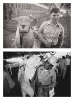 Selected Images of Texas