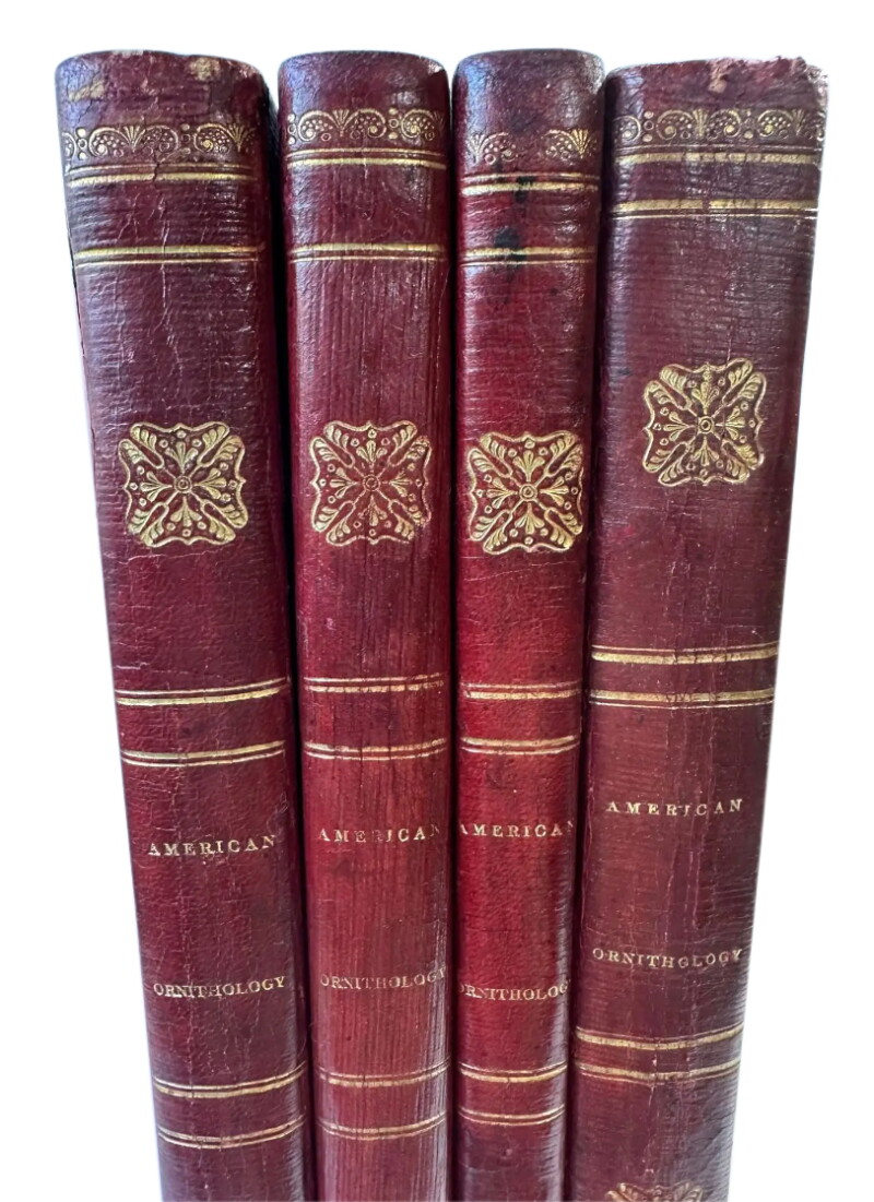 Cover image 0