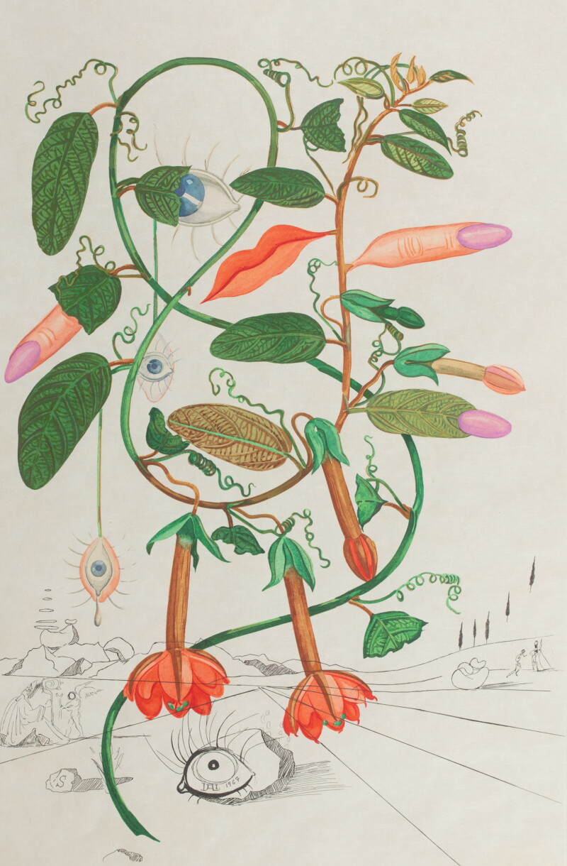 Cover image 0