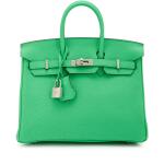Vert Comics Togo Birkin 25 Palladium Hardware, 2023