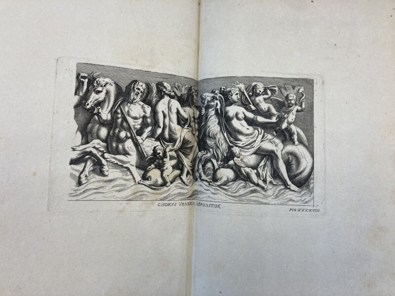 Cover image 0