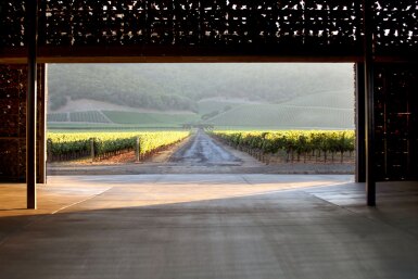 View full screen - View 1 of Lot 398. Dominus 1994 (6 BT).