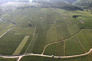 View full screen - View 1 of Lot 6078. Burgundy Mixed lots (8 BT).