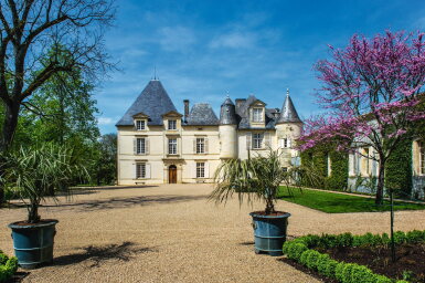 View full screen - View 1 of Lot 594. Château Haut Brion 2012 (12 BT).