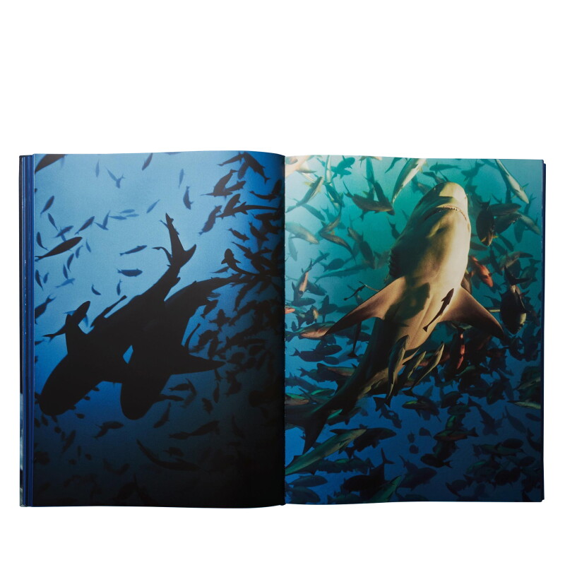 Cover image 0