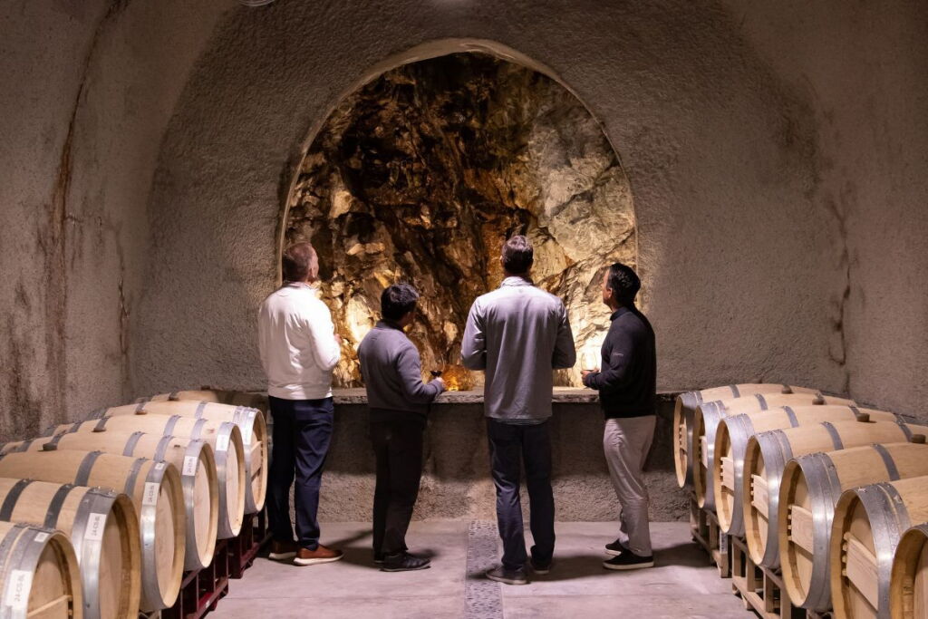 View full screen - View 1 of Lot 4. Baldacci Family Vineyards | Barrel to Bottle: The Baldacci Insider Experience.