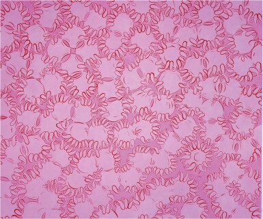 View full screen - View 1 of Lot 299. SUE WILLIAMS | PATTIES ON PINK.