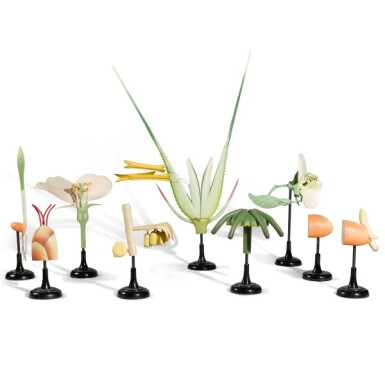 View full screen - View 1 of Lot 44. Dr. G S Schuchart, Germany, 20th century | Nine Didactic Botanical Models.