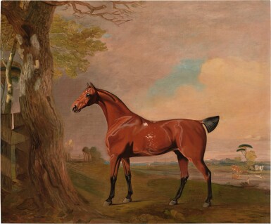 View full screen - View 1 of Lot 167. The Prince of Wale’s Hack, Tiger, In a Landscape.