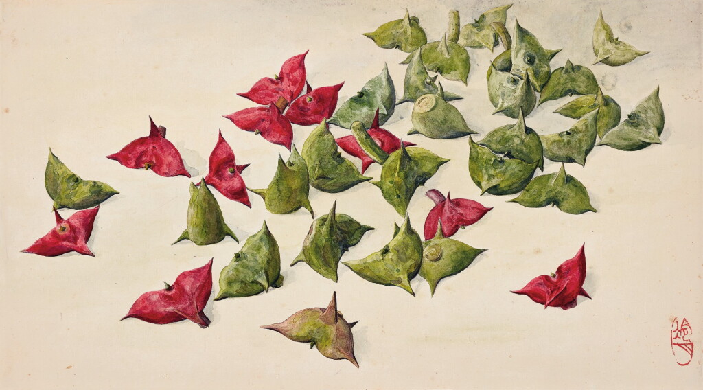 View full screen - View 1 of Lot 3105. 陶冷月 紅綠菱角 | Tao Lengyue, Water Caltrops.