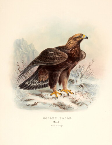 View full screen - View 1 of Lot 28. Edward Thomas Booth | Rough notes on the birds observed... in the British Islands, 1881-1887, 3 volumes.