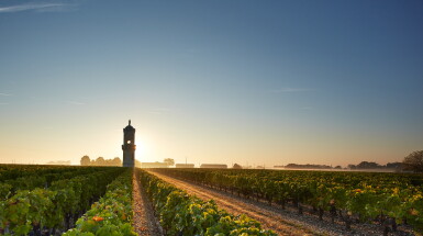 View full screen - View 1 of Lot 658. Château Haut Batailley 2015 (6 BT).