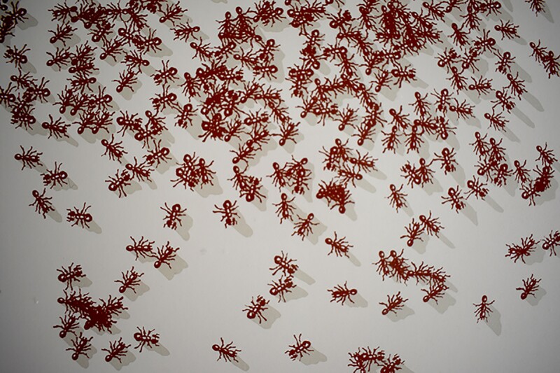 Cover image 0