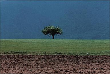 View full screen - View 1 of Lot 43. Untitled (U.S.A. 27 bis).