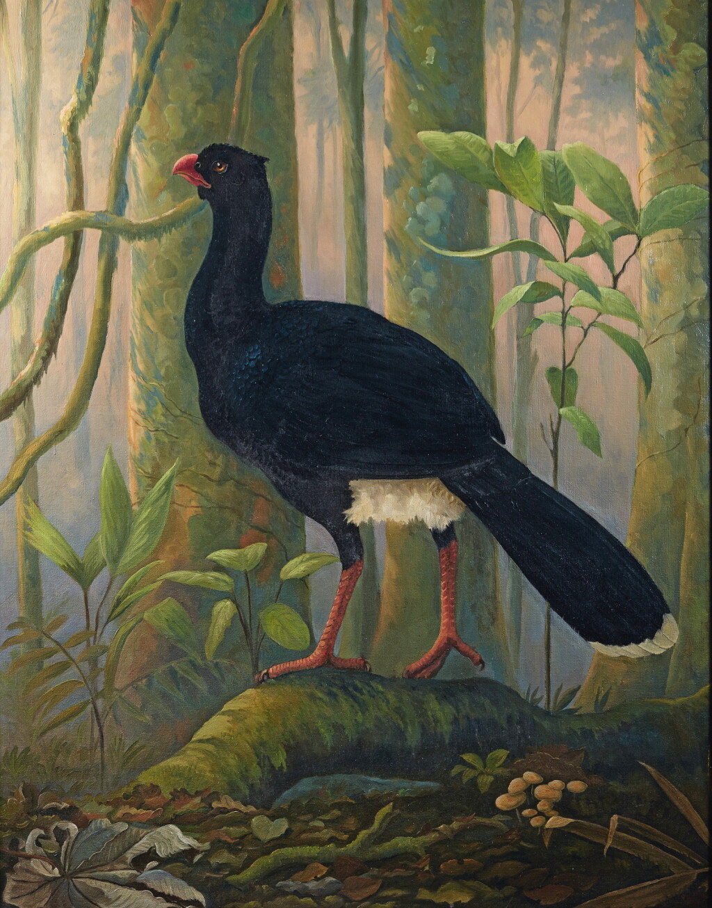 View full screen - View 1 of Lot 353. Hughes. Salvin's Razor-billed Curassow. 2003. oil on canvas.