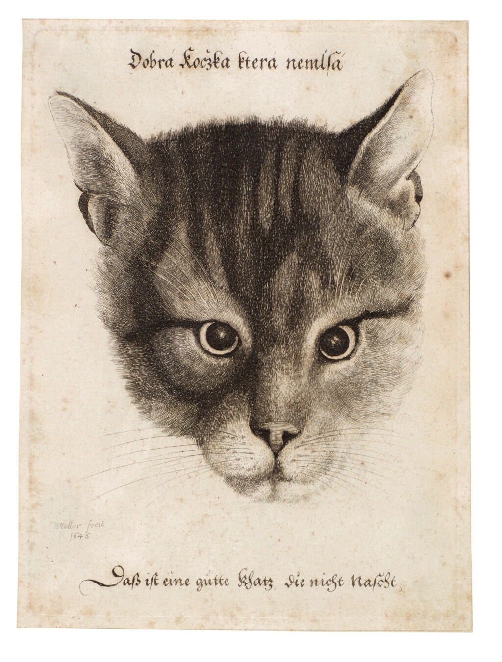 View full screen - View 1 of Lot 117. Head of a Cat (Pennington 2109).