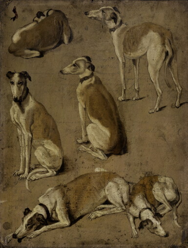 View full screen - View 1 of Lot 194. DUTCH SCHOOL, CIRCA 1800 | SEVERAL STUDIES OF A DOG, PROBABLY A GREYHOUND .