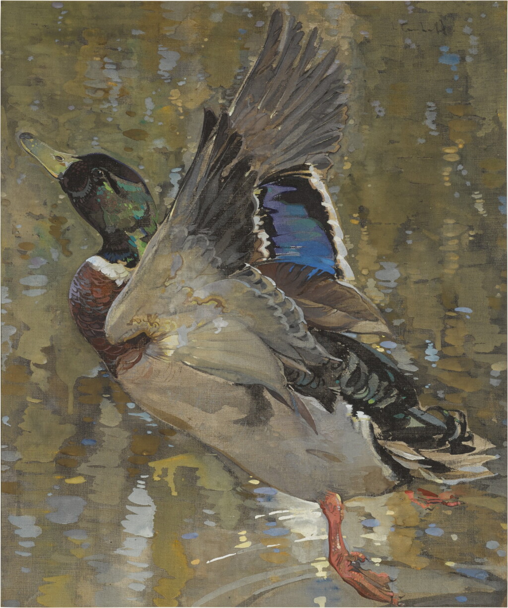 View full screen - View 1 of Lot 203. A Mallard Rising .