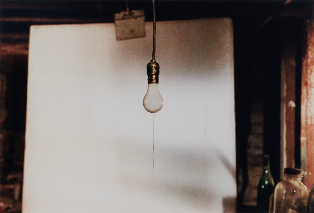 View full screen - View 1 of Lot 44. White Bulb, Batiste House, Louisiana, November.