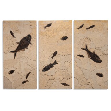 View full screen - View 1 of Lot 217. Multi-Fish Mural — A Triptych Display.