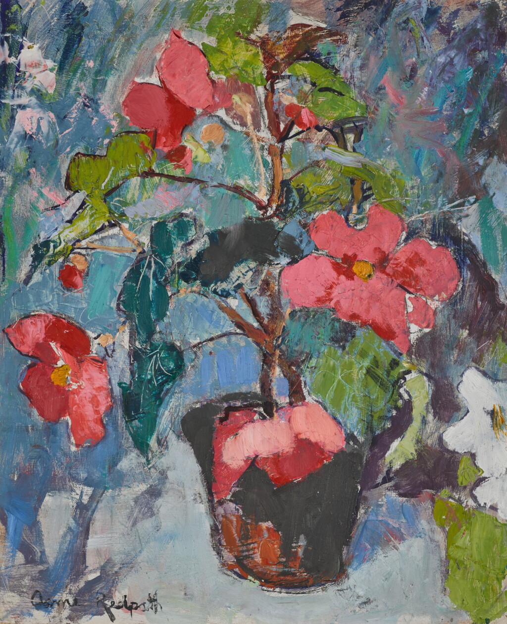 Voir en plein écran - Voir 1 du lot 621. Begonias.