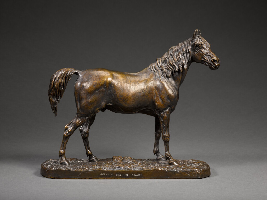 View full screen - View 1 of Lot 70. Ibrahim Étalon Arabe (Ibrahim, an Arab Stallion).