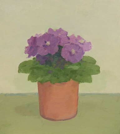 View full screen - View 1 of Lot 12. ALBERT YORK | PLANT WITH PURPLE FLOWERS IN A TERRACOTTA POT.