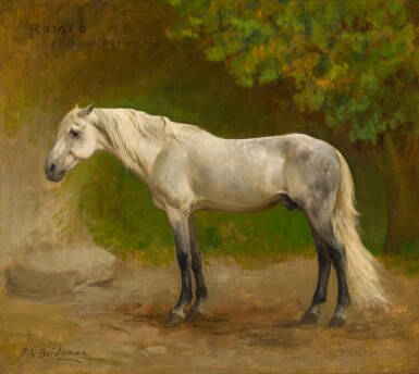 View full screen - View 1 of Lot 31. Romeo, an Arabian Stallion in a Landscape.