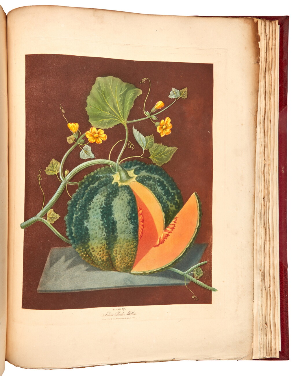 View full screen - View 1 of Lot 166. George Brookshaw | Pomona Britannica, London, 1812, first edition, modern red half morocco.