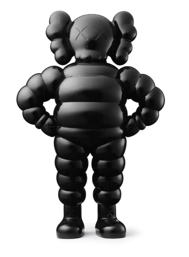 KAWS WHAT PARTY 真作 - その他