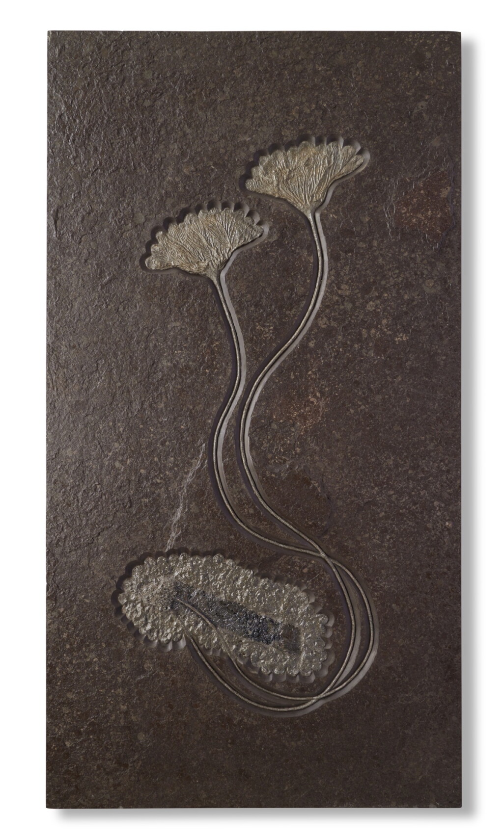 View full screen - View 1 of Lot 6. Fossil Sea Lilies — Jurassic Display.