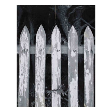 View full screen - View 1 of Lot 74. Picket Fence.