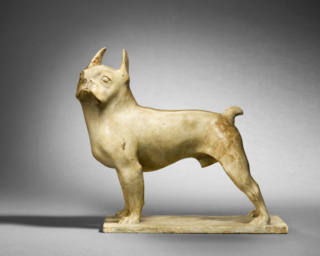 View full screen - View 1 of Lot 21. Boston Terrier, 'Toy', chien de Madame Georges Menier.
