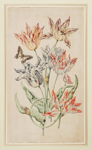 View full screen - View 1 of Lot 582. DUTCH SCHOOL, 18TH CENTURY | An arrangement of six tulips, with a swallowtail butterfly, snails, ants and other insects.