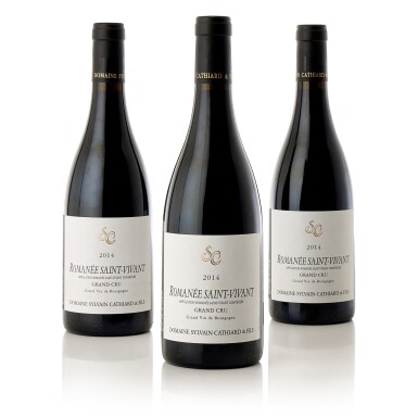 View full screen - View 1 of Lot 8641. Romanée St. Vivant 2014 Sylvain Cathiard (3 BT).